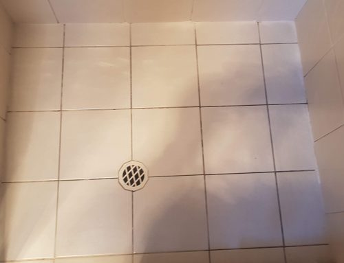 Tiling, Grout Repair and Replacement of Damaged Tiles