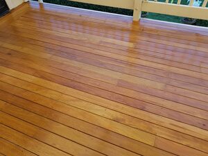Spotted Gum oiled